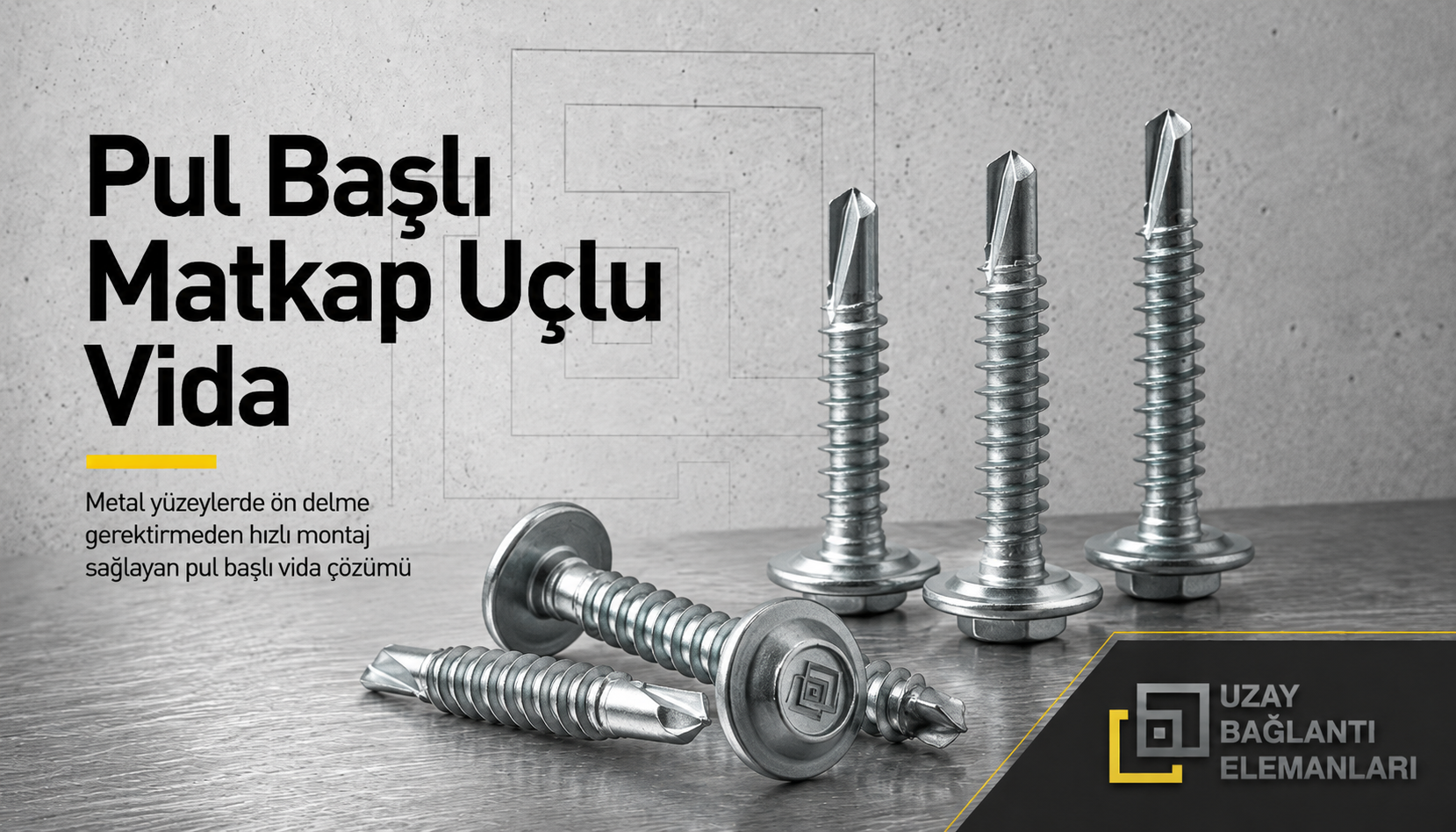 Pul Başlı Matkap Uçlu Vida